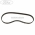 Curea transmisie fara AC si fara servodirectie Ford Ka 1.3 i 70 HP Part Number 96FB6C301AC