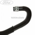 Furtun superior vas expansiune lichid racire Ford Focus (2008-2011) 1.6 100 HP oe 1425192