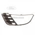 Grila proiector dreapta gri Ford Fiesta (2002-2005) 1.4 TDCi 68 HP oe 1337340