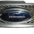 Grila radiator inox model ST, primerizata Ford Fiesta (2002-2005) 1.4 16V 80 HP oe 1144621
