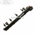 Rampa injectie Ford B-Max 1.4 LPG 90 HP Part Number 8A6G9H487CB