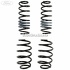 Set arcuri elicoidale suspensie sport Ford Fiesta (2013-2017) 1.4 97 HP oe 1569225