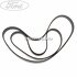 Set curea transmisie cu AC stretchbelt Ford Focus C-Max (2003-2007) 1.6 100 HP oe 1708273