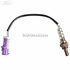 Sonda lambda dupa catalizator an 07/2008-06/2012 Ford Fiesta (2008-2012) 1.6 Ti 120 HP Part Number 8V219G444AC