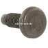 Surub 25 mm  prindere ranforsare bara spate Ford Mach-E MACH-E (CGW) First Edition 337 HP Part Number W706507S300