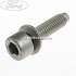 Surub 25 mm prindere folie usa fata Ford Ka 2 1.3 TDCi 75 HP oe 1579906