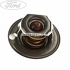 Termostat 88 grade Ford Fiesta (1989-1996) 1.4 73 HP oe 1452357