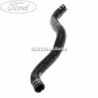Furtun radiator apa superior, stanga Ford Ka 2 1.2