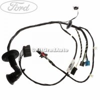 Instalatie electrica usa dreapta fata Ford Fusion 1.25