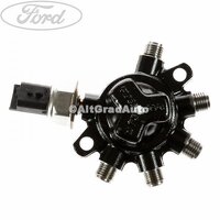 Rampa injectie Siemens Ford Transit Connect 1 1.8 TDCi