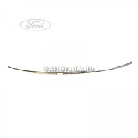 Cheder parbriz, inferior Ford Focus MK2 1.4