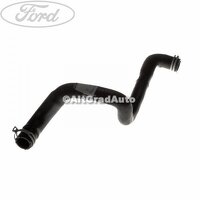 Furtun radiator apa superior, stanga Ford Focus 1 1.4 16V