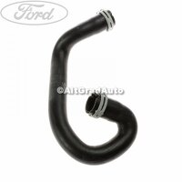 Furtun radiator inferior, dreapta Ford Focus 2 1.8