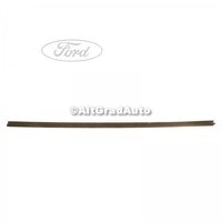 Cheder geam usa fata stanga interior Ford C-Max MK1 facelift 1.8