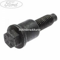 Surub special prindere sina usa culisanta Ford Tourneo Connect 2002 1.8 Di