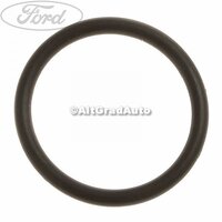 Garnitura oring pompa ulei Ford Cougar 2.5 ST 200