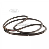 Cheder usa fata dreapta Ford Mondeo MK4 2.2 TDCi