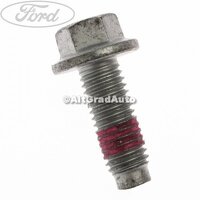 Surub prindere butuc roata spate 25 mm Ford Fiesta Mk 7 1.25
