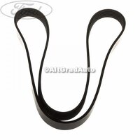 Curea transmisie cu AC strechbelt Ford Focus Mk2 1.8