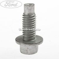 Surub prindere balama usa Ford EcoSport 1.5 TDCi
