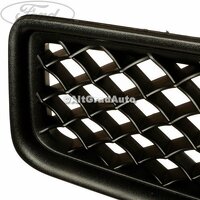 Grila radiator an 06/2002-10/2005 Ford Fusion 1.25