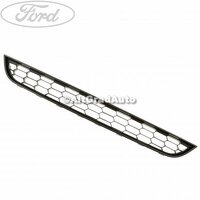 Grila bara fata inferioara sport Ford Fiesta MK7 facelift 1.0