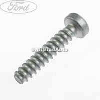 Surub prindere bobina inductie 25 mm Ford C-Max MK2 1.6 Ti