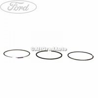 Set segmenti piston standard Ford C-Max MK2 1.6 TDCi