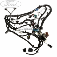 Instalatie electrica motor Ford Focus MK2 facelift 2.0