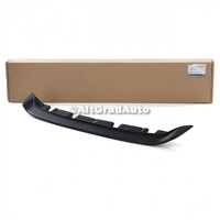 Deflector aer bara fata Ford Fiesta MK6 1.25