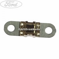 Siguranta plata 70 A maro   