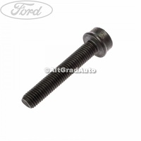 Surub prindere baie ulei lung Ford Focus MK2 2.0 TDCi