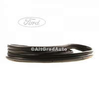 Cheder usa spate stanga Ford Fiesta MK8 1.0 EcoBoost