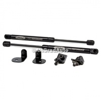Set amortizoare sustinere capota Ford Mustang 2.3 EcoBoost