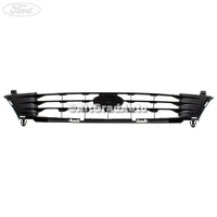 Grila radiator Ford Fiesta MK4 1.0 i