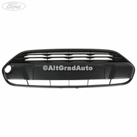 Grila bara fata mijloc Ford Tourneo Connect 2014 1.0 EcoBoost