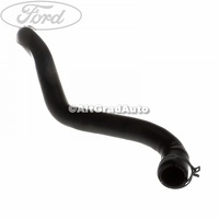 Furtun radiator apa stanga superior Ford Focus 2 2.0 TDCi