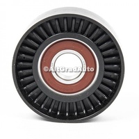 Rola ghidaj curea agregate Ford Mustang 5.0 V8