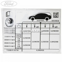 Eticheta valori presiune roti Ford Mondeo V 1.0 EcoBoost