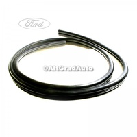 Cheder usa spate 4/5 usi Ford Focus MK2 1.4