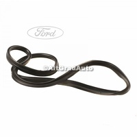 Cheder hayon 3/5 usi Ford Fiesta MK6 1.25