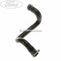 Furtun radiator apa dreapta inferior Ford Focus 1 1.4 16V