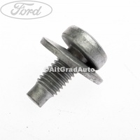 Surub prindere platnic usa hayon Ford C-Max MK1 facelift 1.8