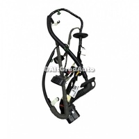 Cablaj electric usa fata dreapta echipare lumina ambientala Ford Kuga MK2 facelift 1.5 EcoBoost