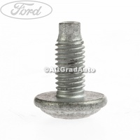 Surub fixare ramforsare usa Ford Fiesta MK6 1.25