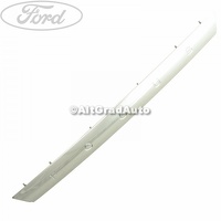 Maner hayon cabriolet Ford Focus MK2 1.6