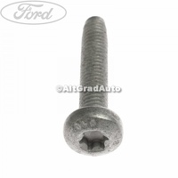 Surub 30 mm prindere airbag cortina Ford S-Max MK1 2.0 TDCi