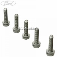 Surub 25 mm prindere supapa EGR Ford Galaxy MK3 2.0 TDCi