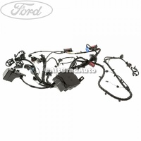 Instalatie electrica motor Ford Fiesta MK6 1.4 TDCi