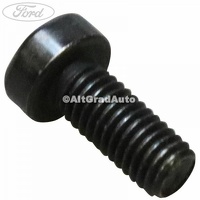 Surub prindere regulator pompa injectie Delphi Ford Galaxy MK3 2.0 TDCi